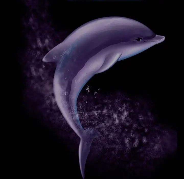 說你愛我第15話