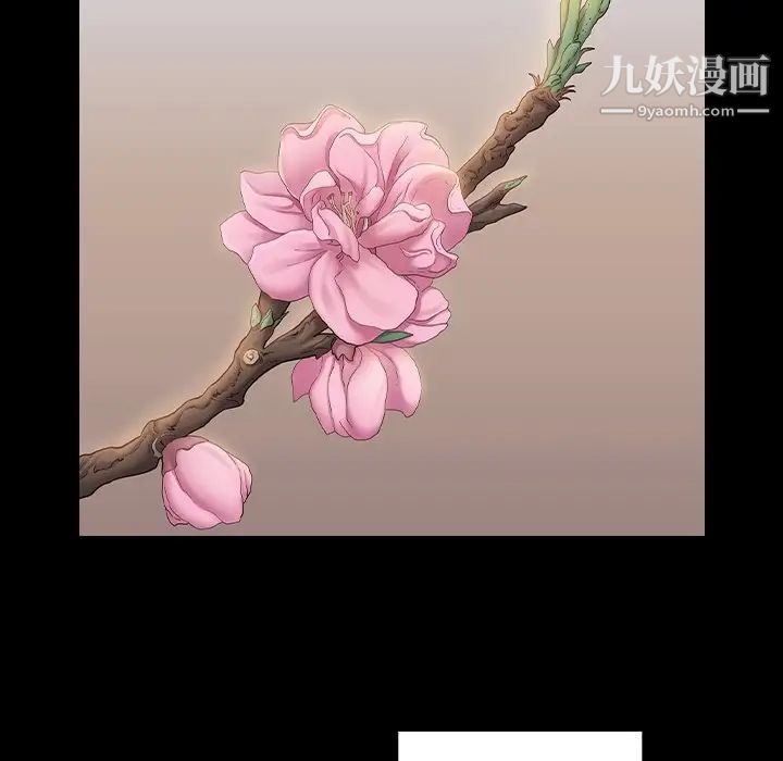 桃花最终话