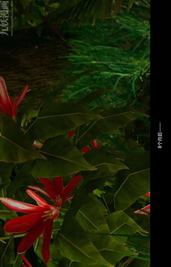 [3D]隔絕島1-3+特別編+番外番外篇完结