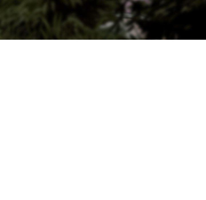 换“友”派对第12话