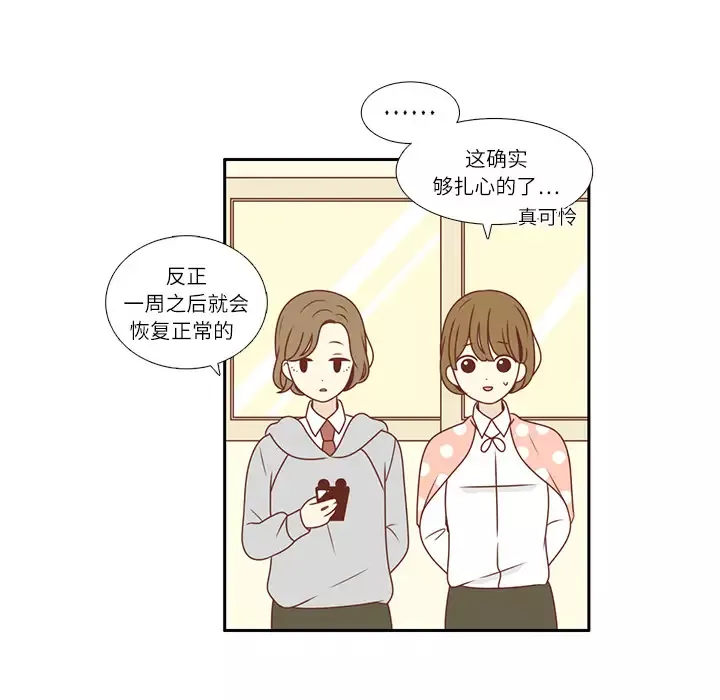各自的春天第1话
