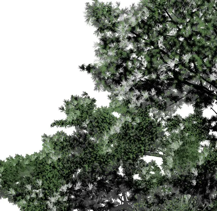 美人为馅第29话