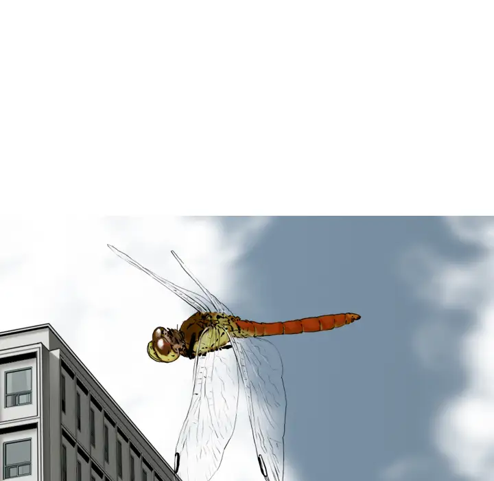 美人为馅第35话