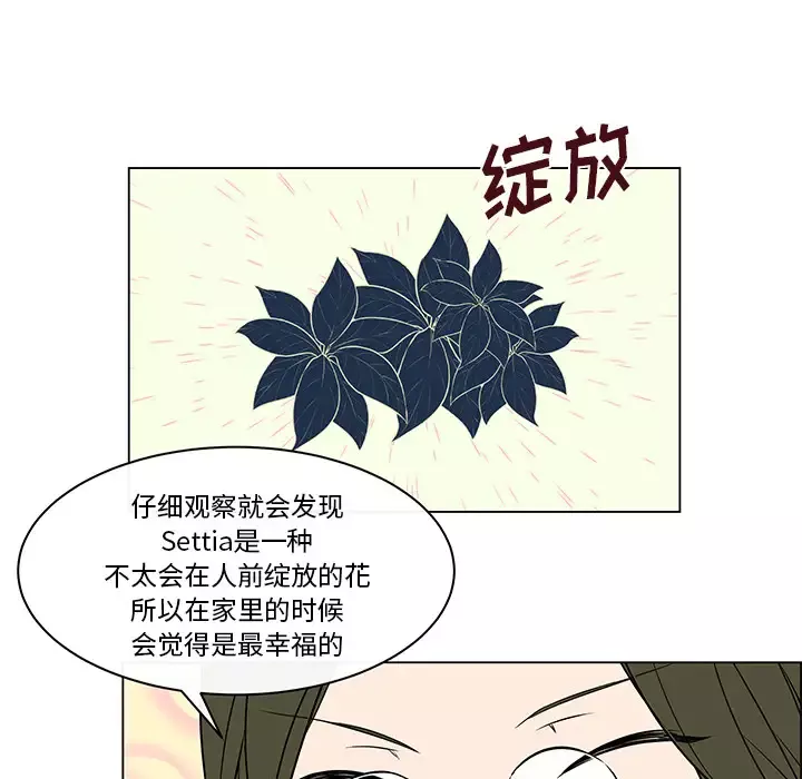 Settia-第17话 - 图片 22