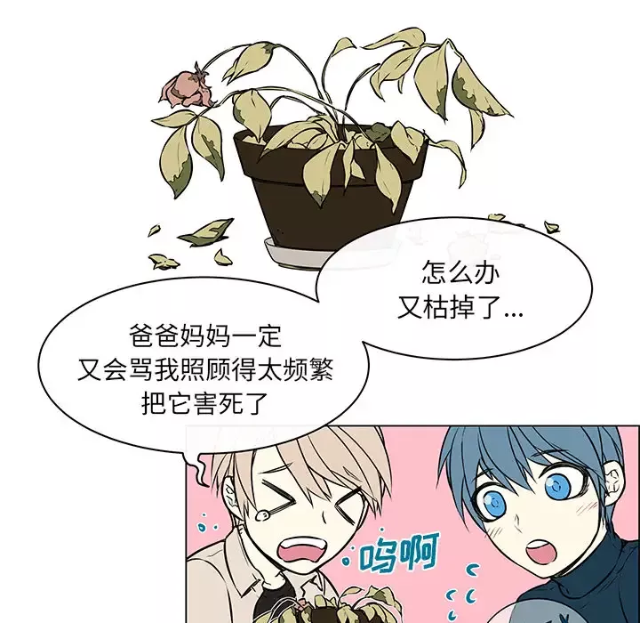 Settia-第22话 - 图片 39