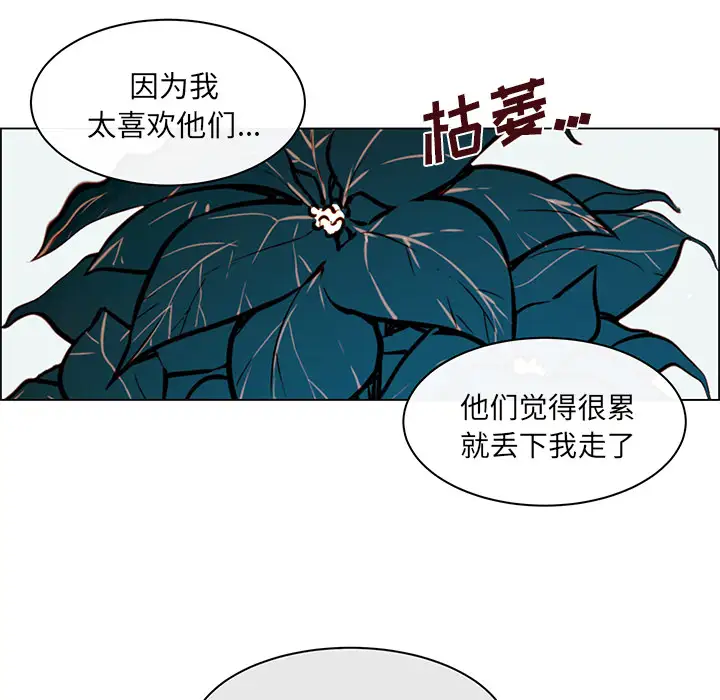 Settia第23话