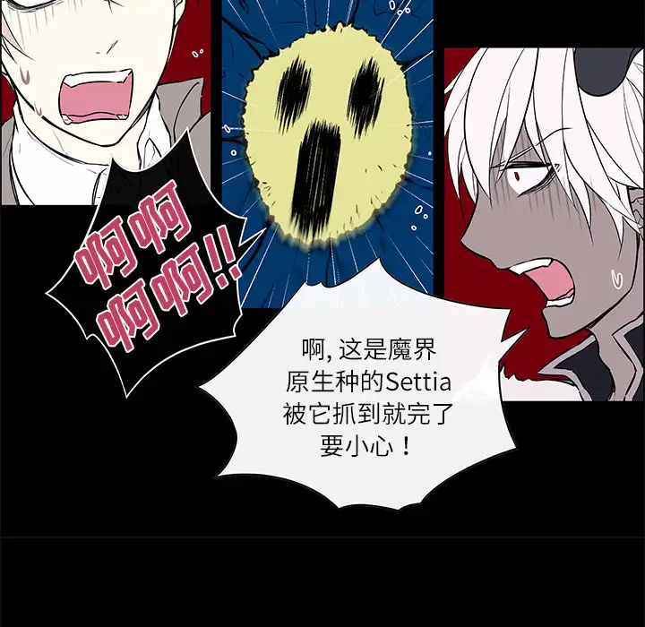 Settia第24话