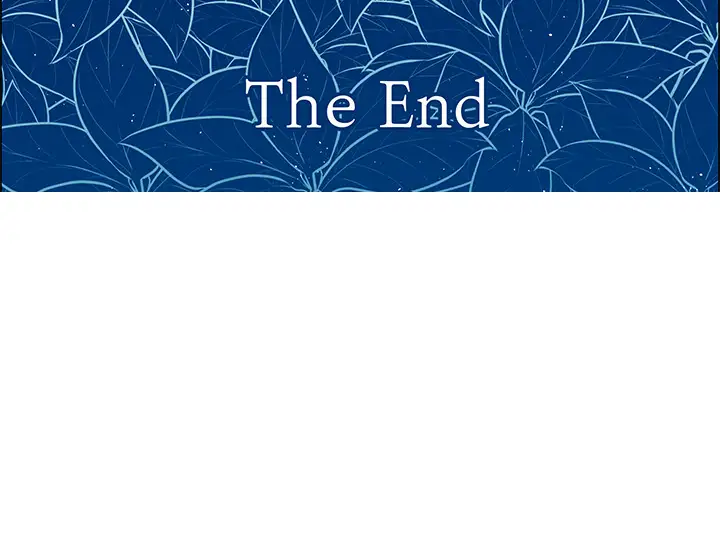 Settia第25话完结