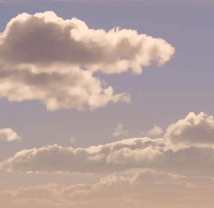 粉丝招募中!第33话