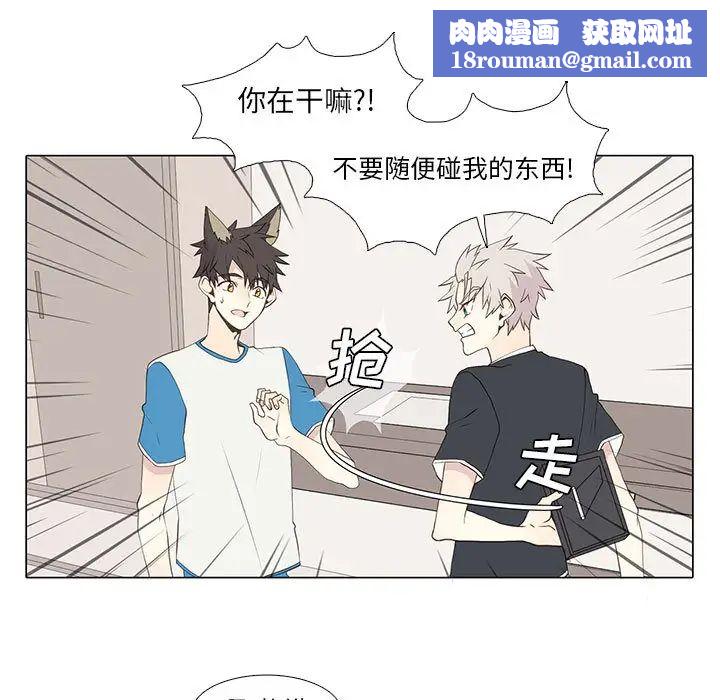 野性之城第15话