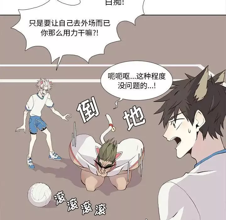 野性之城第24章