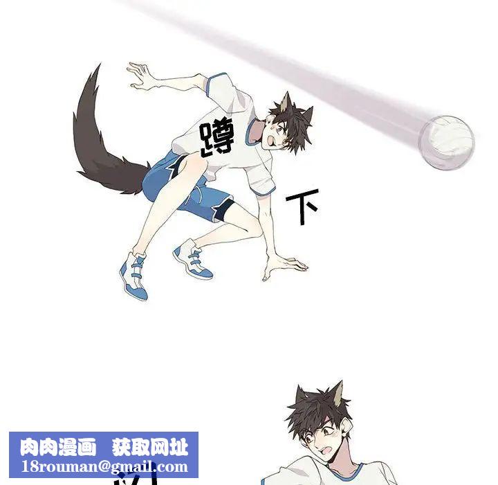 野性之城第24章