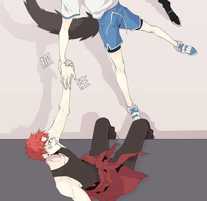 野性之城第25章