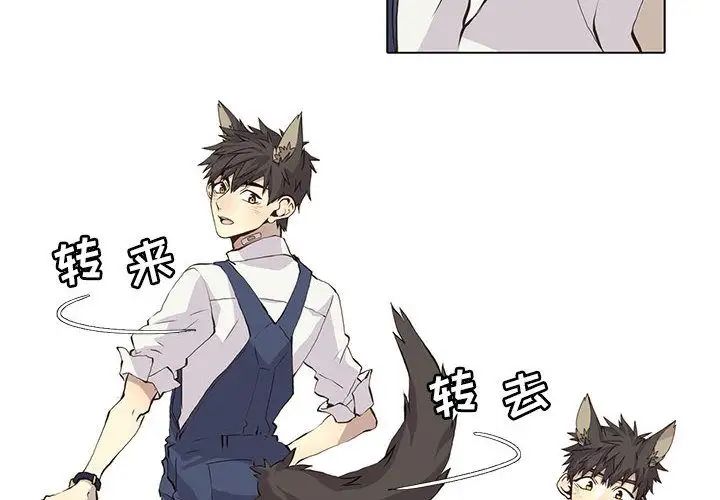 野性之城第35章