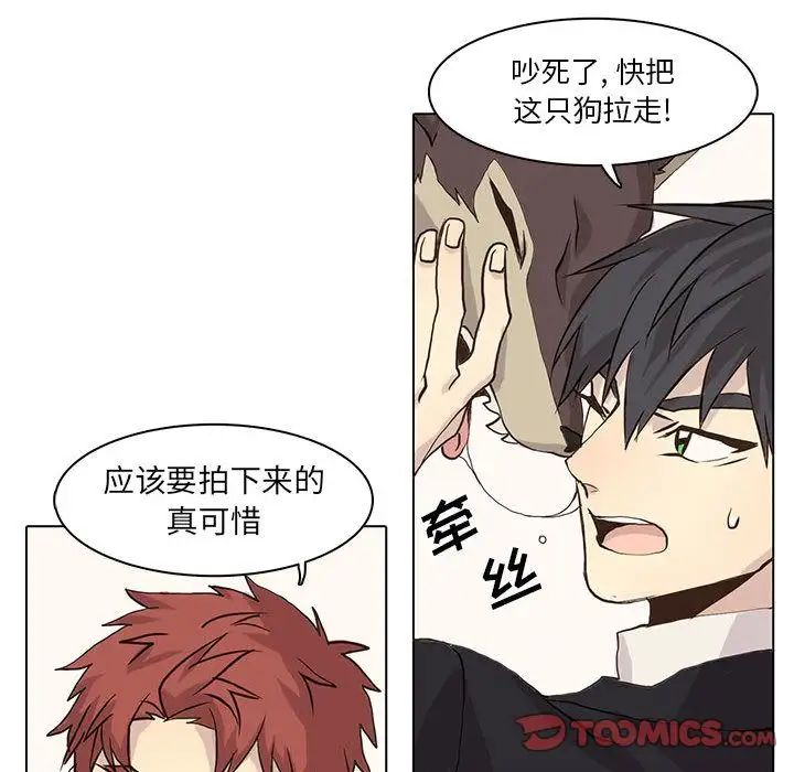 野性之城第41章