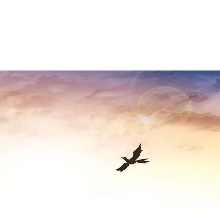 野性之城第41章