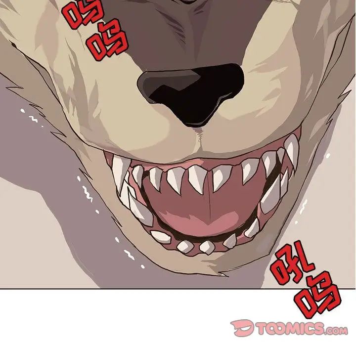 野性之城第41章