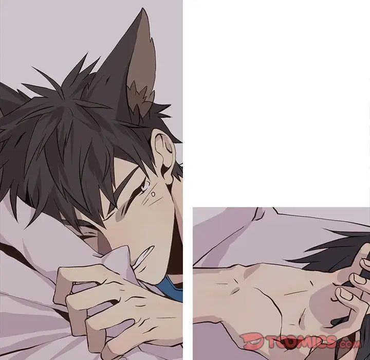 野性之城第43章