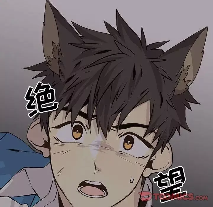野性之城第45章