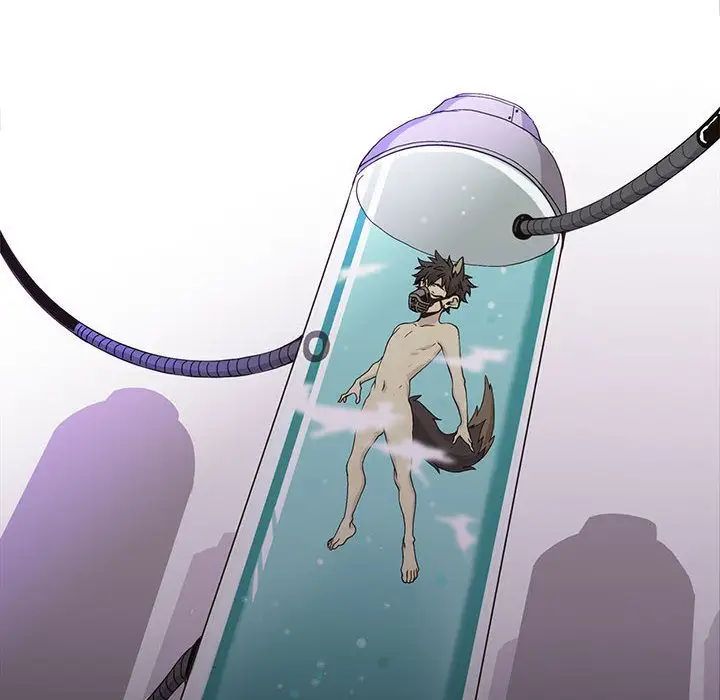 野性之城第45章