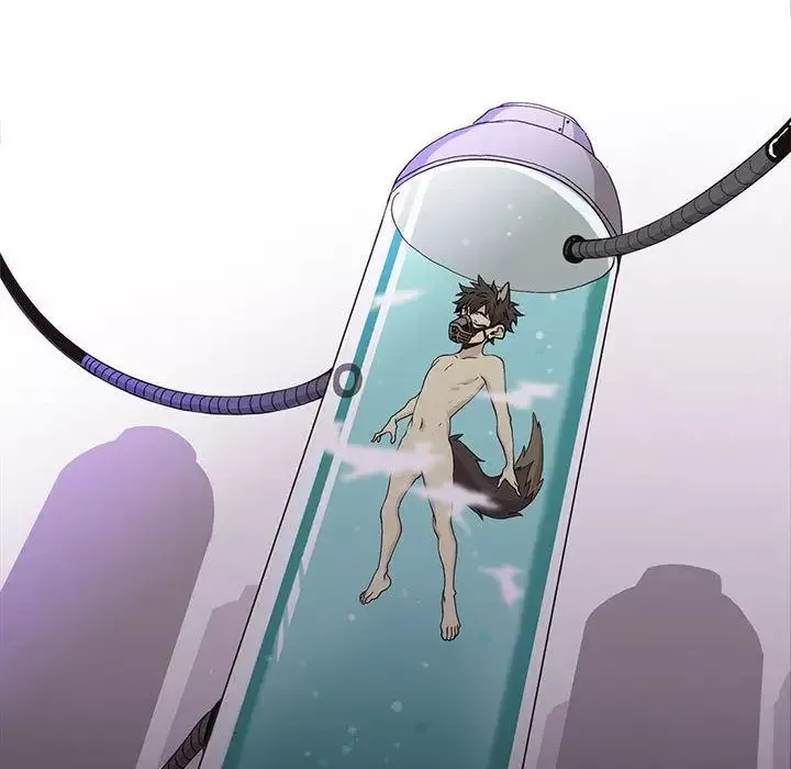 野性之城第45章