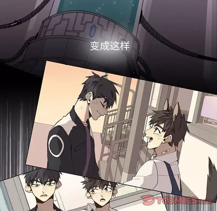 野性之城第45章