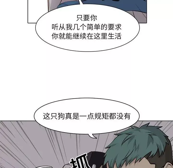 野性之城第45章
