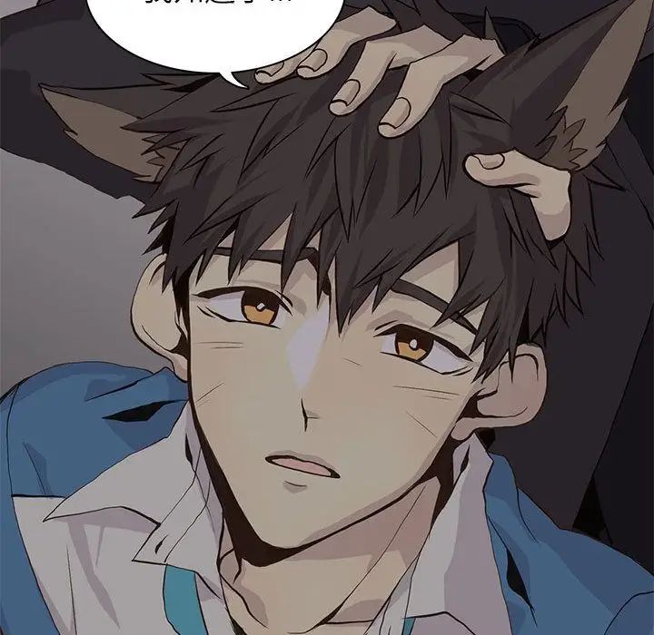 野性之城第45章