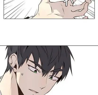 野性之城第47章