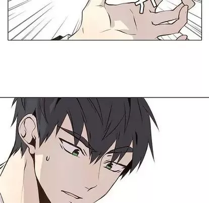 野性之城第47章