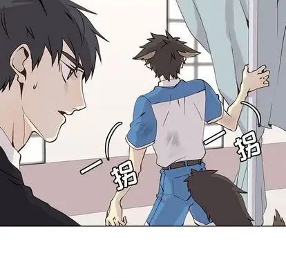 野性之城第47章