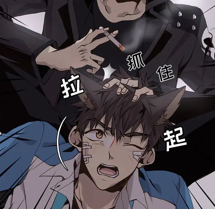 野性之城第50话