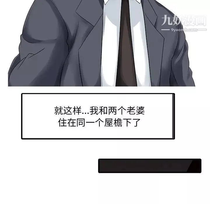 家有雙妻最终话