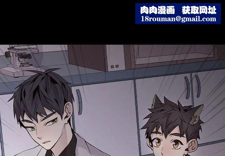 野性之城第105话