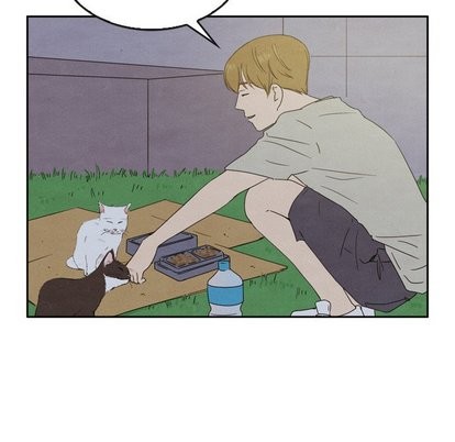 泰珠小姐的完美婚姻生活第43话