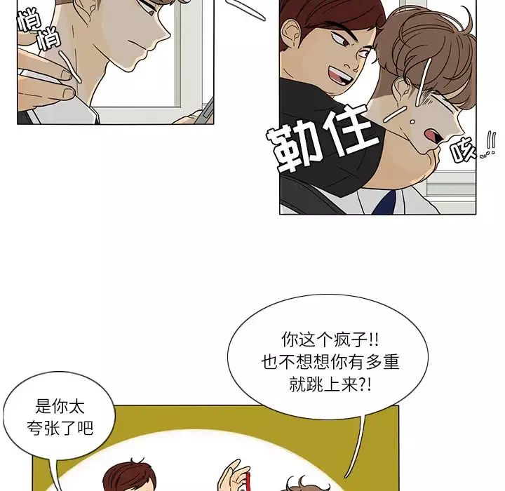 鱼缸中的花园-第25章 - 图片 5
