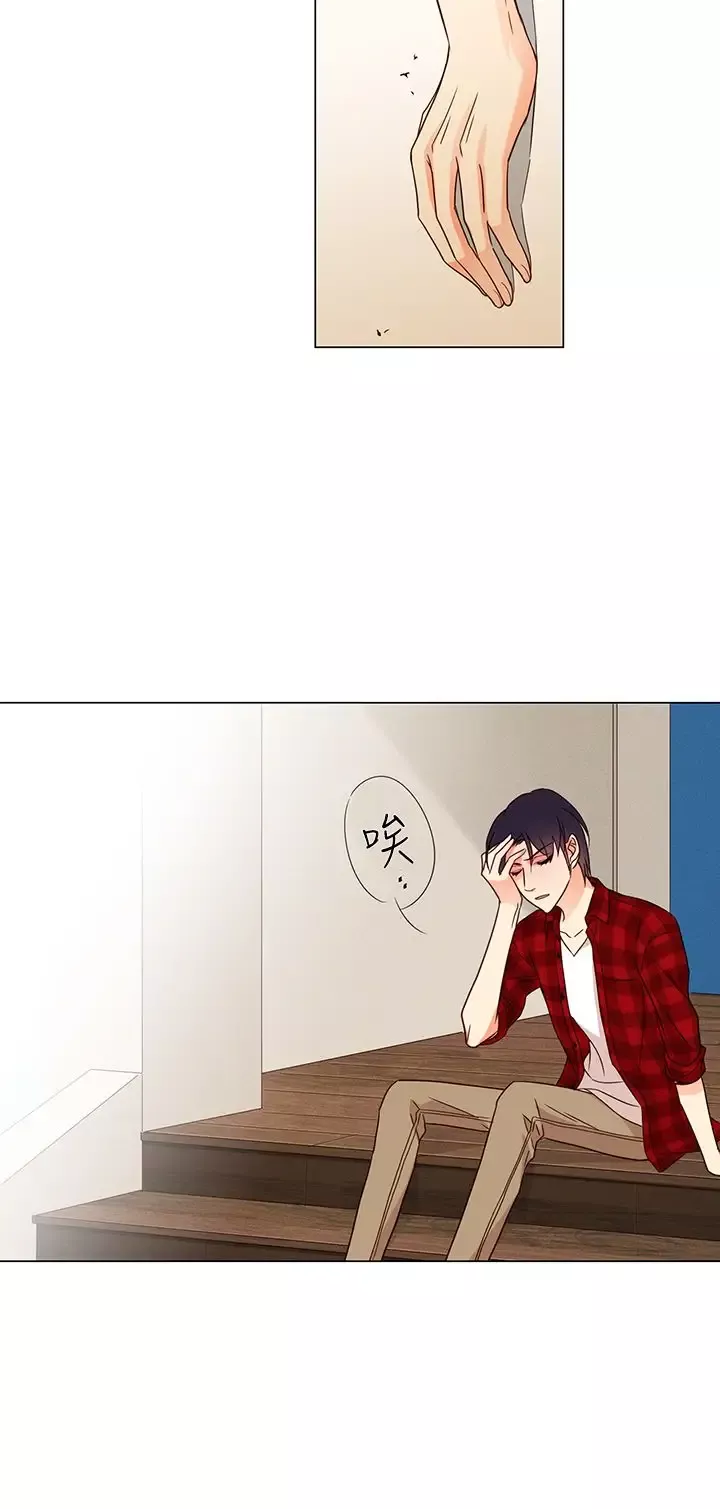 罗马尼亚体操养成社第29话