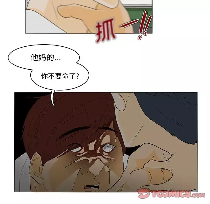 鱼缸中的花园-第44章 - 图片 14