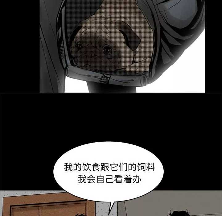 韩道修第4話