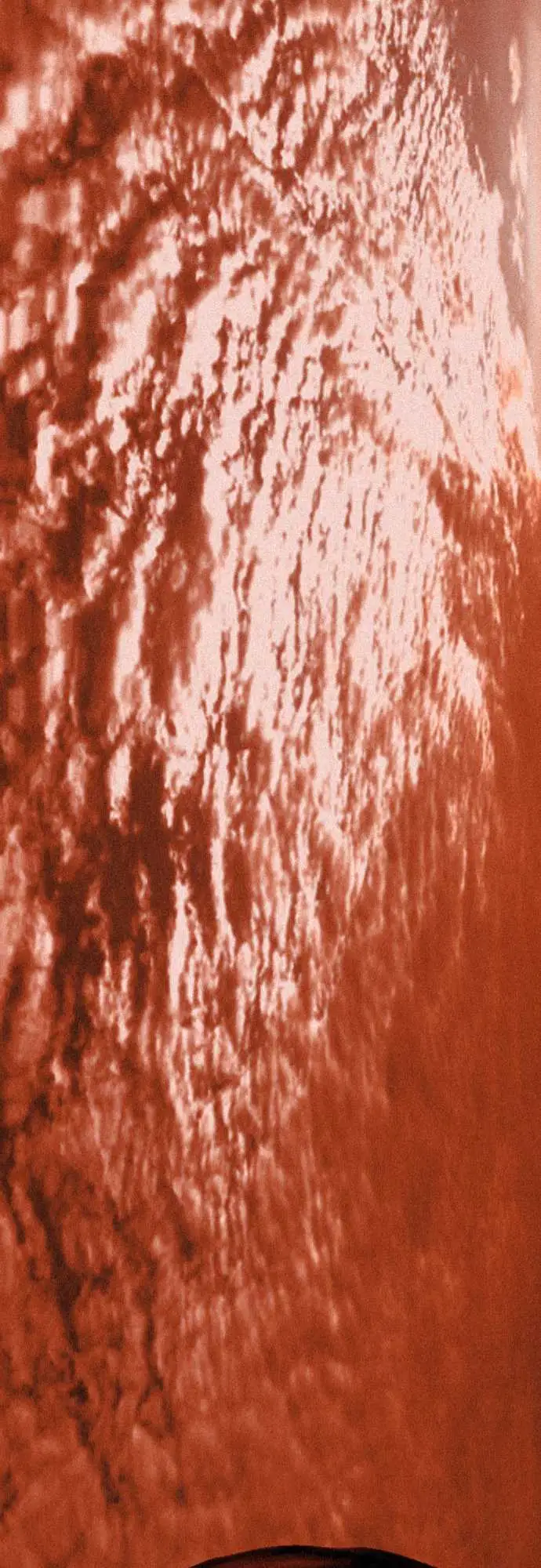 鬼来讯第9话选择4/5