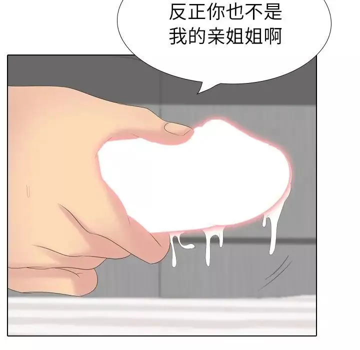 姊姊的秘密日記第28話
