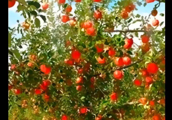 雷普利爱情第32话