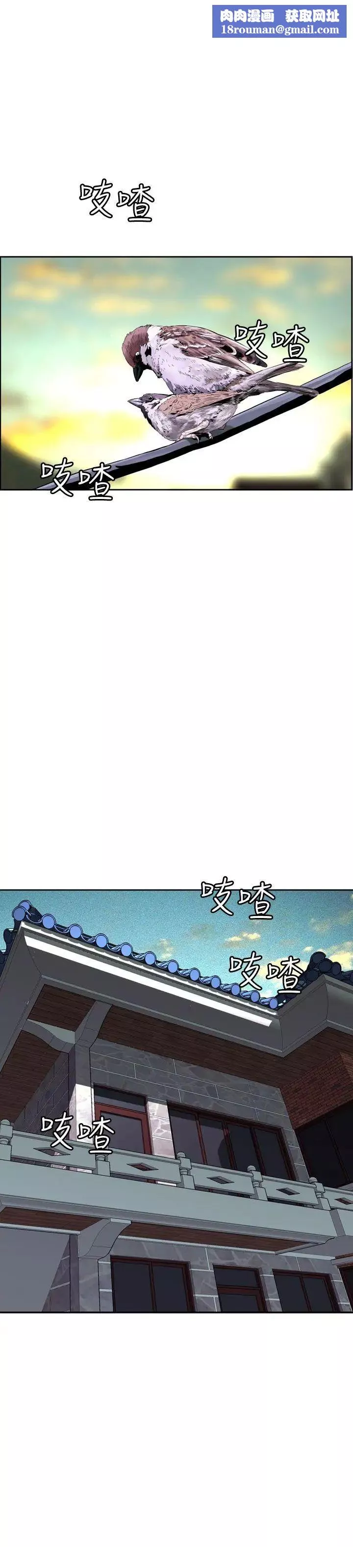 偷窺Preview