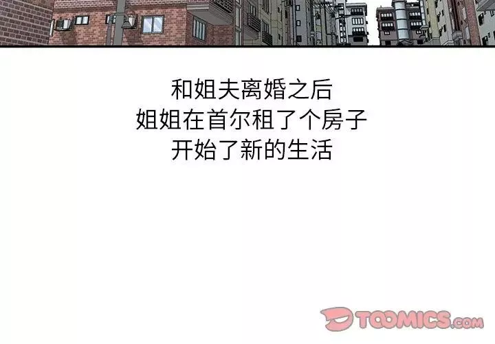 姐姐的秘密第31話