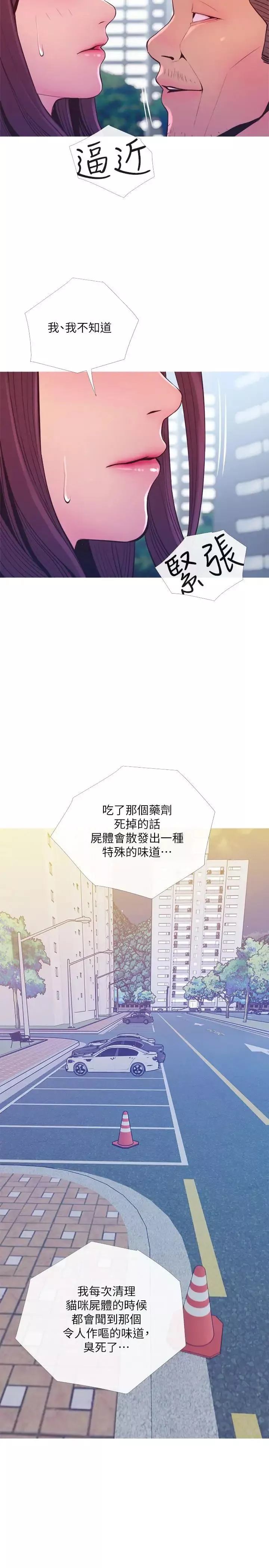 主婦危機第11話-朝獵物進攻的雄性們
