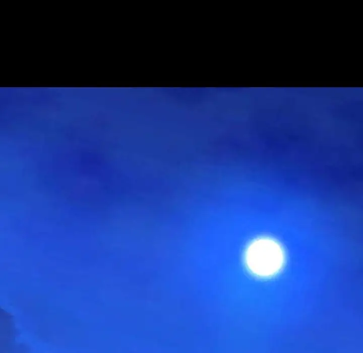 S商店的她第60章