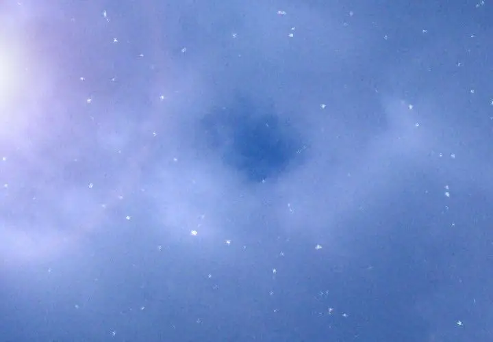 S商店的她第67章