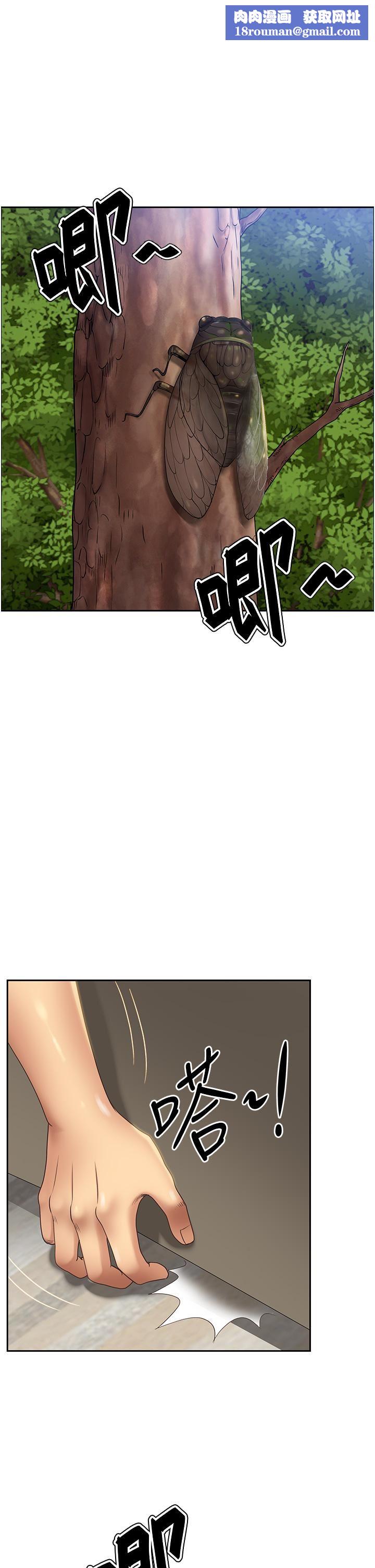 地方人妻们第1话-小鲜肉邻居新来乍到