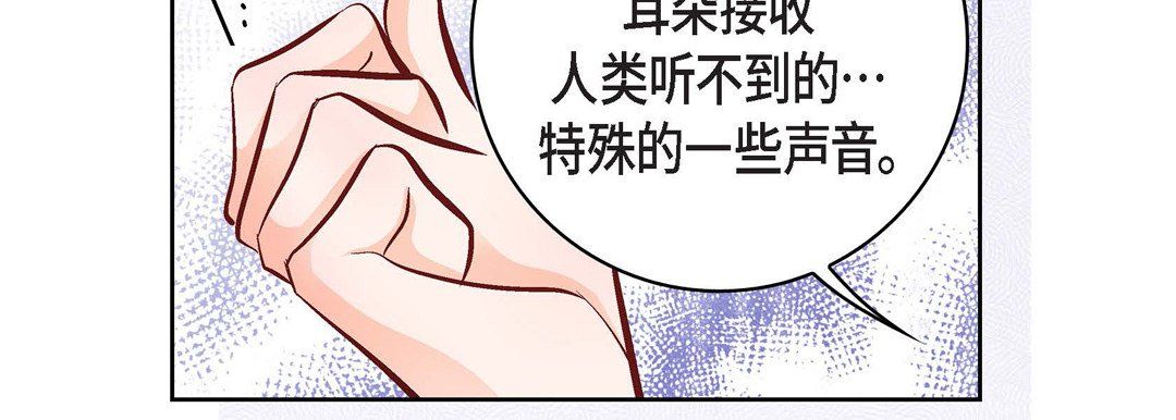 献给心臟第13话