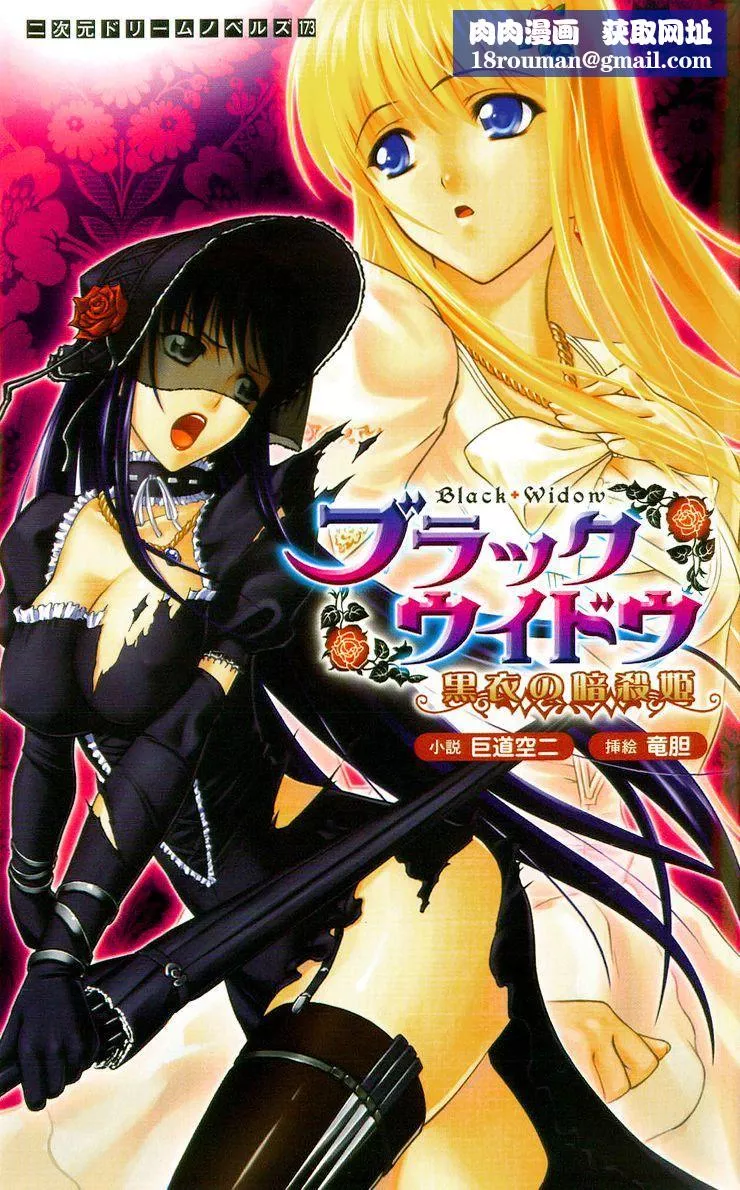 [竜胆]ブラックウイドウ～黒衣の暗杀姫～[英译中个人汉化]-[竜胆]ブラックウイドウ～黒衣の暗杀姫～[英译中个人汉化] - 图片 1